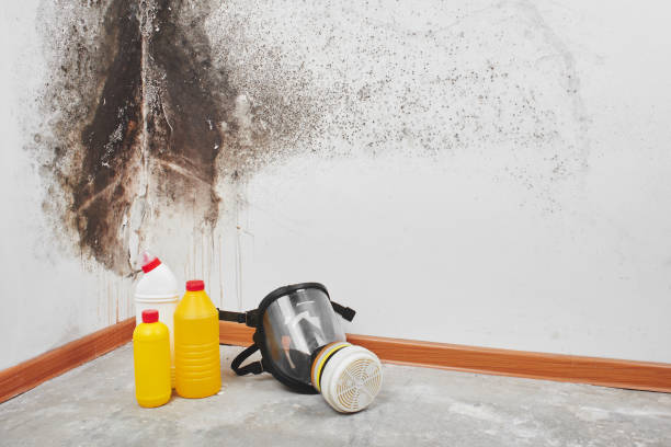 Water Damage Restoration in Elkhart, TX