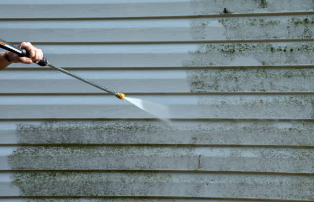 Mold Removal and Inspection in Elkhart, TX