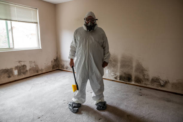 Best Mold Testing  in Elkhart, TX